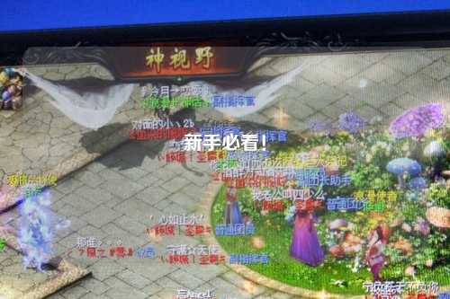 新手必看!
