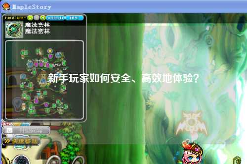 新手玩家如何安全、高效地体验?