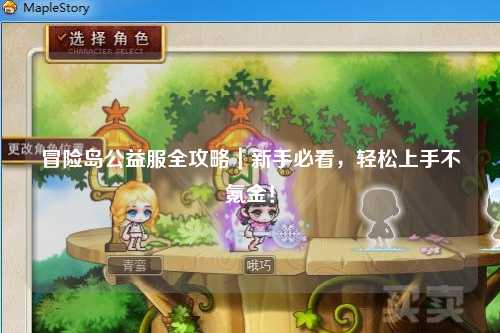 冒险岛公益服全攻略|新手必看,轻松上手不氪金!