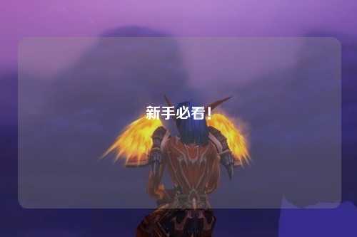 新手必看！