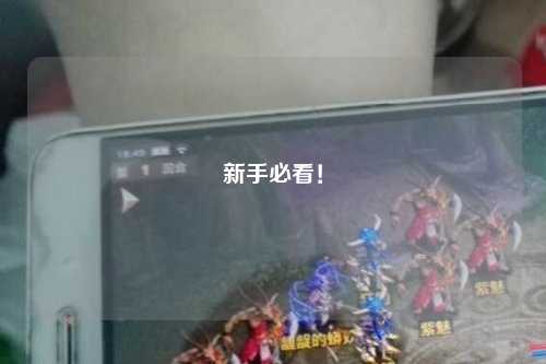 新手必看！