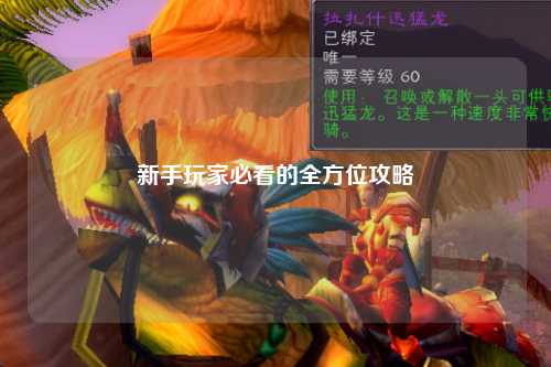 新手玩家必看的全方位攻略