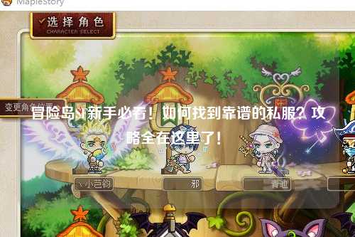 冒险岛SF新手必看!如何找到靠谱的私服?攻略全在这里了!✨