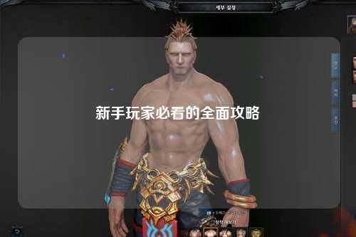 新手玩家必看的全面攻略