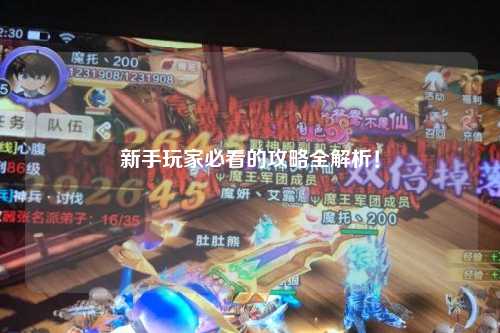 新手玩家必看的攻略全解析!